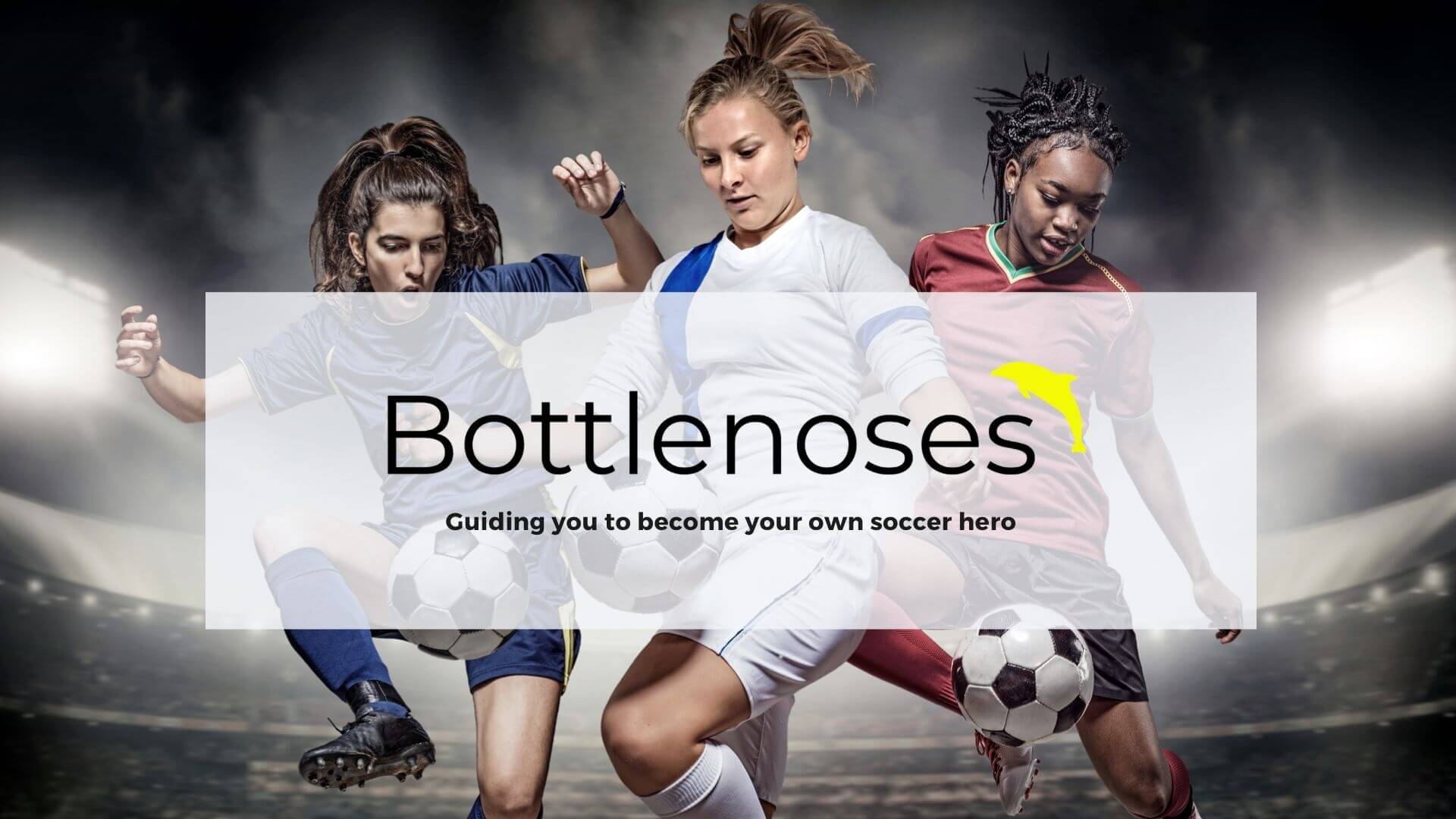 Bottlenoses academy